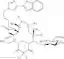 Fig. 604 - Macrolides and methods of their preparation and use