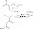Fig. 746 - Macrolides and methods of their preparation and use