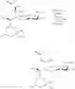 Fig. 755 - Macrolides and methods of their preparation and use