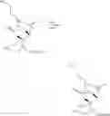 Fig. 818 - Macrolides and methods of their preparation and use