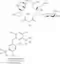 Fig. 832 - Macrolides and methods of their preparation and use