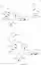 Fig. 896 - Macrolides and methods of their preparation and use