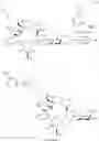 Fig. 907 - Macrolides and methods of their preparation and use