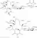 Fig. 932 - Macrolides and methods of their preparation and use