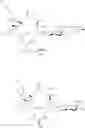 Fig. 997 - Macrolides and methods of their preparation and use