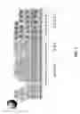Fig. 02 - COMPOUNDS AND METHODS ASSOCIATED WITH DIFFERENTIAL METHYLATION OF HUMAN PAPILLOMA VIRUS GENOMES IN EPITHELIAL CELLS