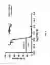 Fig. 04 - Dimeric IAP Inhibitors