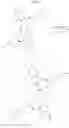 Fig. 09 - Dimeric IAP Inhibitors