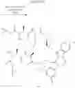 Fig. 30 - Dimeric IAP Inhibitors