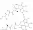 Fig. 48 - Dimeric IAP Inhibitors