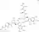 Fig. 49 - Dimeric IAP Inhibitors
