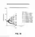 Fig. 19 - Compositions containing, methods involving, and uses of non-natural amino acid linked dolastatin derivatives