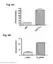 Fig. 10 - BONE DELIVERY CONJUGATES AND METHOD OF USING SAME TO TARGET PROTEINS TO BONE