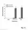 Fig. 14 - BONE DELIVERY CONJUGATES AND METHOD OF USING SAME TO TARGET PROTEINS TO BONE
