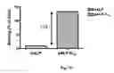 Fig. 16 - BONE DELIVERY CONJUGATES AND METHOD OF USING SAME TO TARGET PROTEINS TO BONE