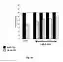 Fig. 19 - BONE DELIVERY CONJUGATES AND METHOD OF USING SAME TO TARGET PROTEINS TO BONE