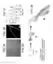 Fig. 03 - Templates for controlling synthesis of nanoparticles into discrete assemblies