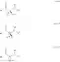 Fig. 09 - β-hairpin peptidomimetics