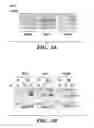 Fig. 03 - MODIFIED MICROBIAL TOXIN RECEPTOR FOR DELIVERING AGENTS INTO CELLS