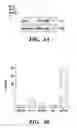 Fig. 05 - MODIFIED MICROBIAL TOXIN RECEPTOR FOR DELIVERING AGENTS INTO CELLS