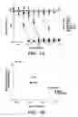 Fig. 08 - MODIFIED MICROBIAL TOXIN RECEPTOR FOR DELIVERING AGENTS INTO CELLS