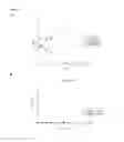 Fig. 04 - Antimicrobial protein