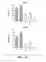 Fig. 03 - Regulators of NFAT