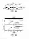 Fig. 05 - Regulators of NFAT