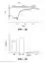 Fig. 11 - Regulators of NFAT
