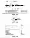 Fig. 14 - Regulators of NFAT