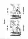 Fig. 04 - Designer osteogenic proteins