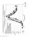 Fig. 20 - GIP receptor-active glucagon compounds