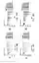 Fig. 43 - GIP receptor-active glucagon compounds