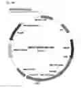 Fig. 35 - High affinity PD-1 agents and methods of use