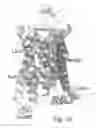 Fig. 21 - MUTANT G-PROTEIN COUPLED RECEPTORS AND METHODS FOR SELECTING THEM
