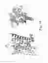 Fig. 25 - MUTANT G-PROTEIN COUPLED RECEPTORS AND METHODS FOR SELECTING THEM