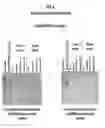Fig. 03 - Kits for Isolating Protein Samples