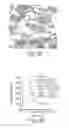 Fig. 05 - ALBUMIN VARIANTS BINDING TO FCRN