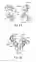 Fig. 07 - ALBUMIN VARIANTS BINDING TO FCRN