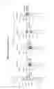 Fig. 02 - Modified laminin containing collagen binding molecule and use thereof