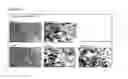 Fig. 07 - Composition comprising at least two influenza A virus-neutralizing-binding molecules