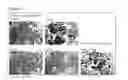 Fig. 09 - Composition comprising at least two influenza A virus-neutralizing-binding molecules