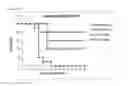 Fig. 20 - Composition comprising at least two influenza A virus-neutralizing-binding molecules
