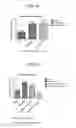 Fig. 05 - Methods of treating retinal disorders with anti-apelin antibodies