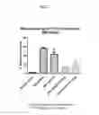 Fig. 08 - Methods of treating retinal disorders with anti-apelin antibodies