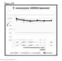 Fig. 29 - Methods of inhibiting complement C4 activation with anti-complement C1s antibodies
