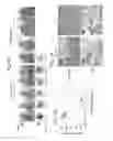 Fig. 15 - Compositions and methods for treating HIF-1α over-expressing cancers
