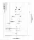 Fig. 04 - Nucleic acids encoding anti-C5a antibodies