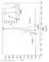 Fig. 15 - Nucleic acids encoding anti-C5a antibodies