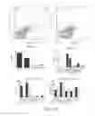 Fig. 12 - Antibodies that bind to TL1A and methods of treating inflammatory or autoimmune disease comprising administering such antibodies